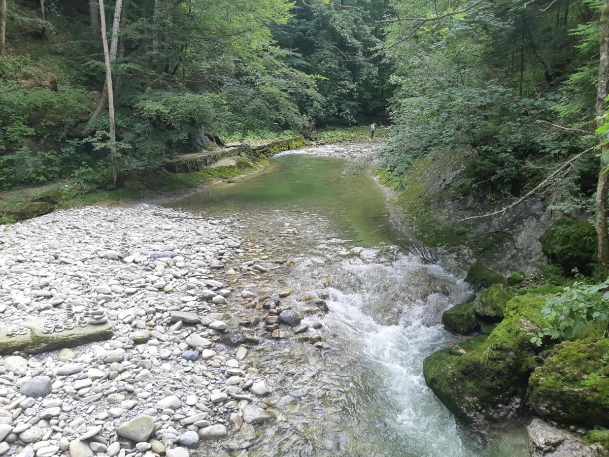 Bed and Breakfast Gaestehaus Aemisegg Sankt Peterzell Zewnętrze zdjęcie