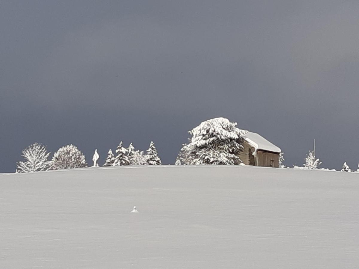 Bed and Breakfast Gaestehaus Aemisegg Sankt Peterzell Zewnętrze zdjęcie