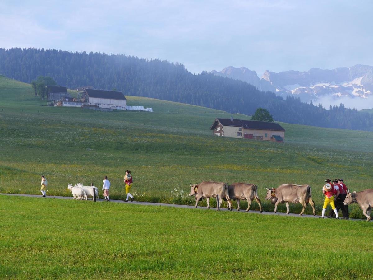 Bed and Breakfast Gaestehaus Aemisegg Sankt Peterzell Zewnętrze zdjęcie